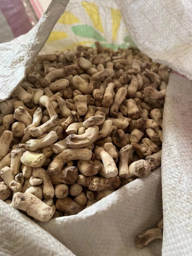 西峡精选香菇腿，干净，食品厂专用，优质冬菇