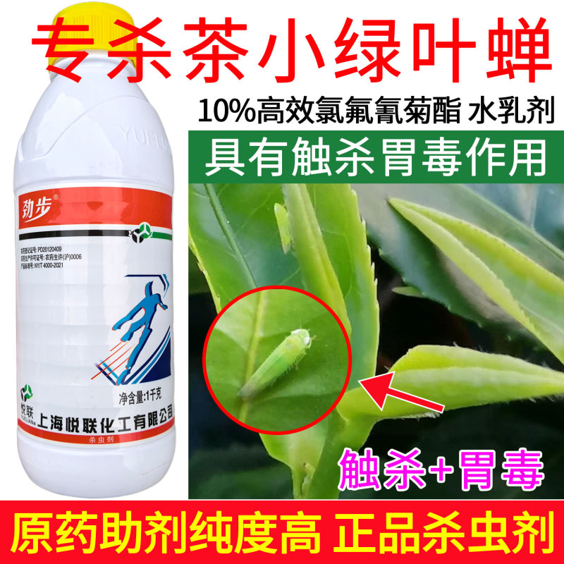 上海悦联劲步正品农药10%高效氯氟氰菊酯蚜虫茶小绿叶蝉