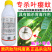 上海悦联劲步正品农药10%高效氯氟氰菊酯蚜虫茶小绿叶蝉