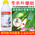上海悦联劲步正品农药10%高效氯氟氰菊酯蚜虫茶小绿叶蝉