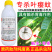 上海悦联劲步正品农药10%高效氯氟氰菊酯蚜虫茶小绿叶蝉