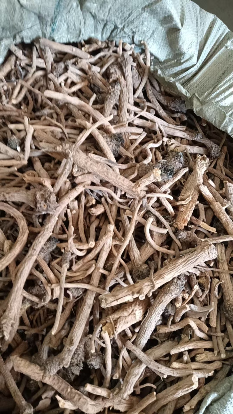 板蓝根