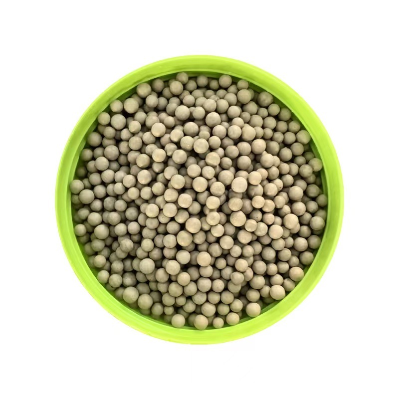 粪硫菌颗粒水产养殖净化水质去除硫化氢黑泥10公斤一桶