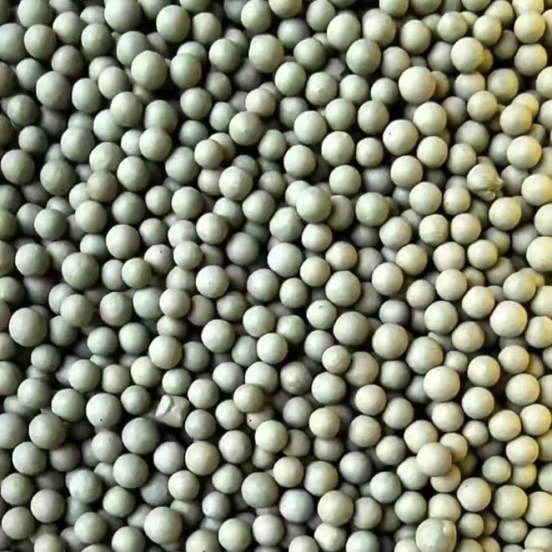 粪硫菌颗粒水产养殖净化水质去除硫化氢黑泥10公斤一桶