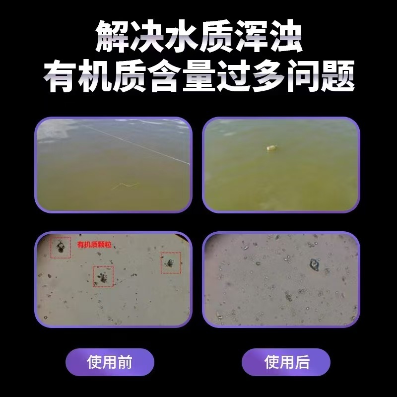 粪硫菌颗粒水产养殖净化水质去除硫化氢黑泥10公斤一桶