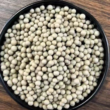 粪硫菌颗粒水产养殖净化水质去除硫化氢黑泥10公斤一桶