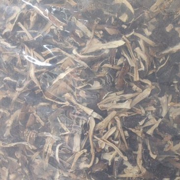 仿野生林下种植赤松茸（大球盖）