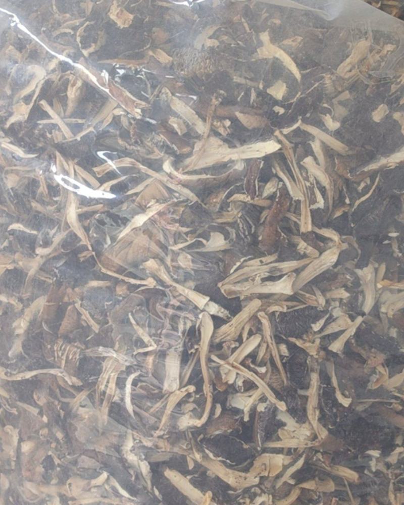 仿野生林下种植赤松茸（大球盖）