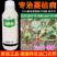 德国拜耳露娜润35%氟菌·戊唑醇叶霉病早疫病进口农药