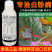 德国拜耳露娜润35%氟菌·戊唑醇叶霉病早疫病进口农药