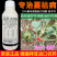 德国拜耳露娜润35%氟菌·戊唑醇叶霉病早疫病进口农药