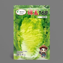 锦美168秋季白菜种子生育期65天左右商品性好