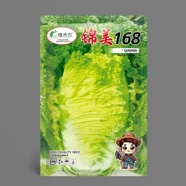 锦美168秋季白菜种子生育期65天左右商品性好