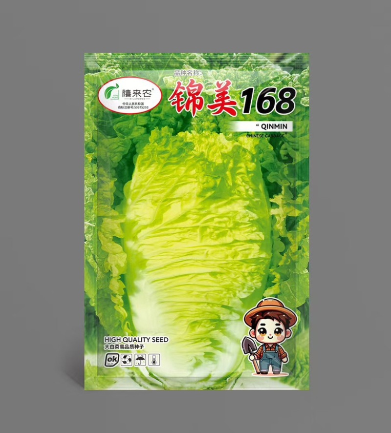 锦美168秋季白菜种子生育期65天左右商品性好