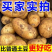 马尔科小土豆电商货产地看货论价保质保量欢迎订购