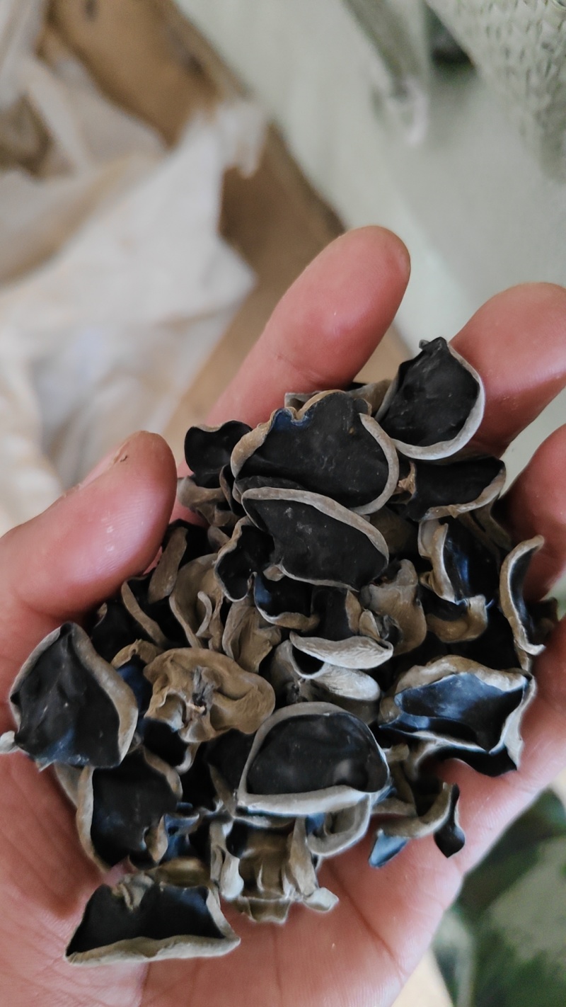 东北黑木耳头茬黑木耳优质片形好保质保量量大从优欢迎联系
