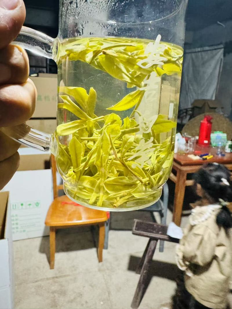 原产地高山安吉白茶，自产自销品质保证，口感、香气天花板