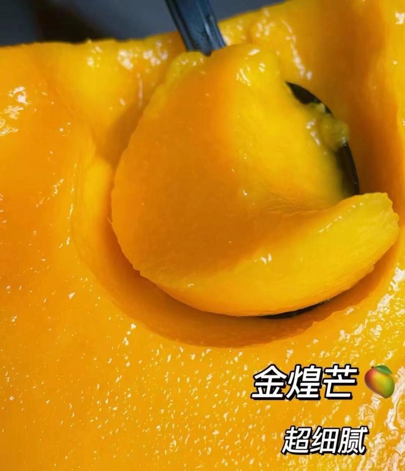 广西芒果金煌芒，对接社区电商，支持全网一件代发，电话详谈