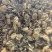 推荐：滑子菇干品去根、大帽产地大量上市