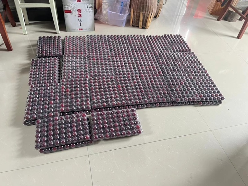 慈溪杨梅