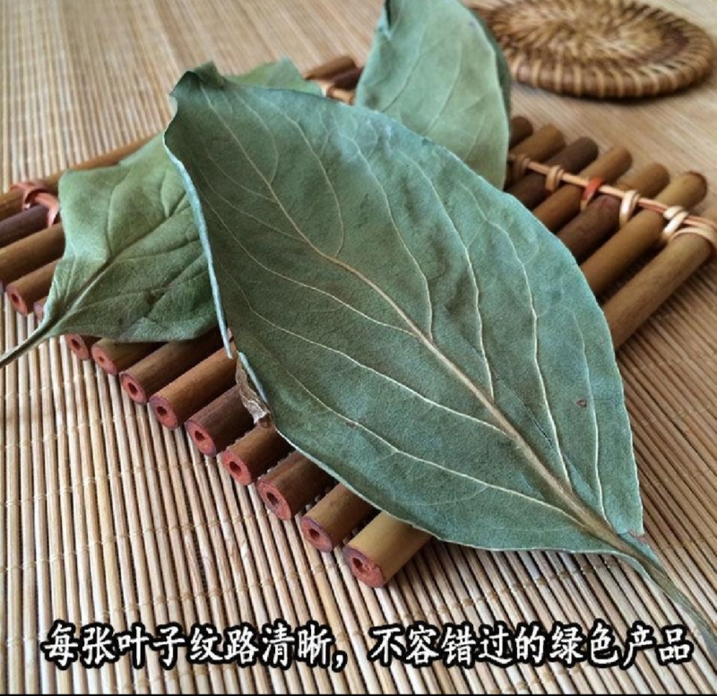 干绿无杂质绿柿叶，霜后柿子，绿柿叶尾期货紧了