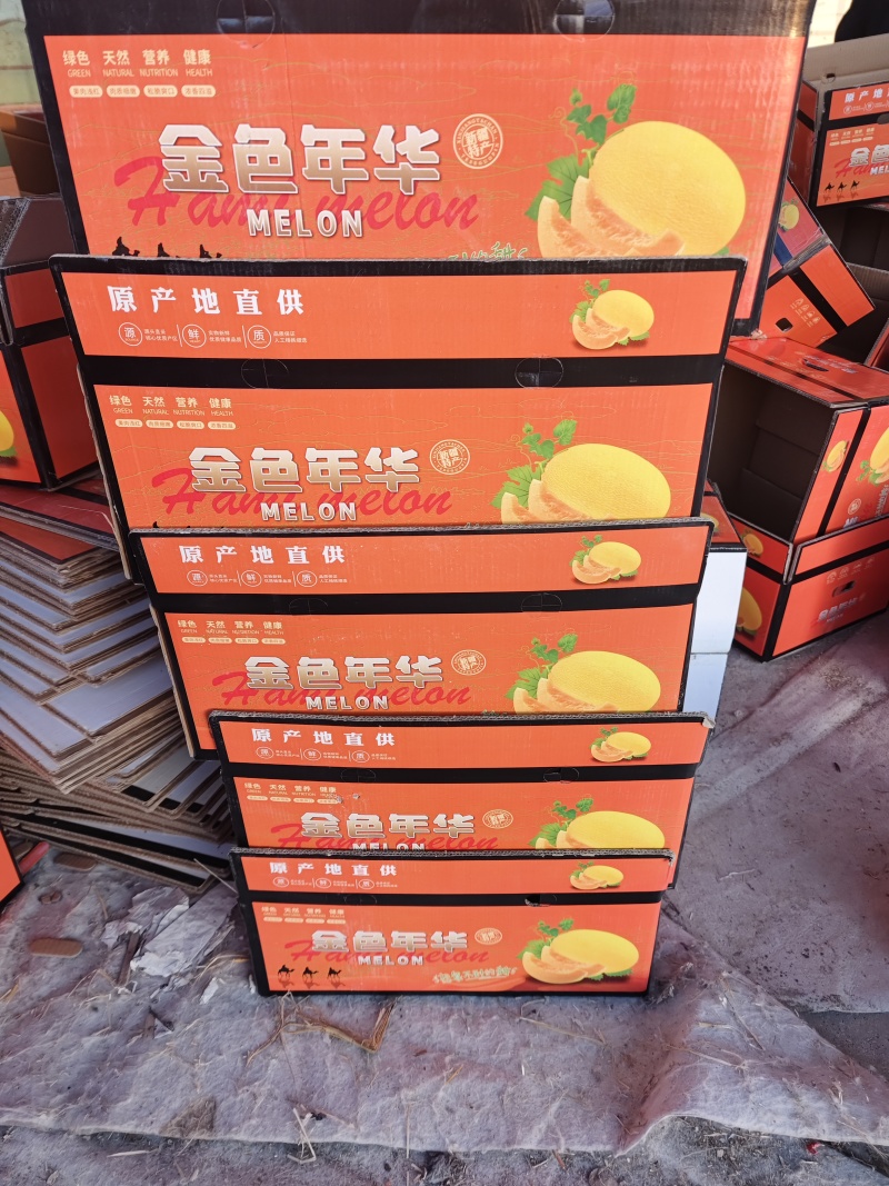 哈密瓜：金色年华西州蜜晓密八六王子鼎蜜