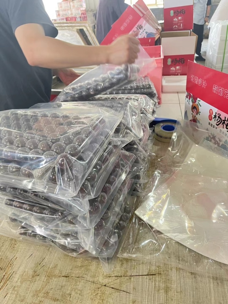 慈溪杨梅