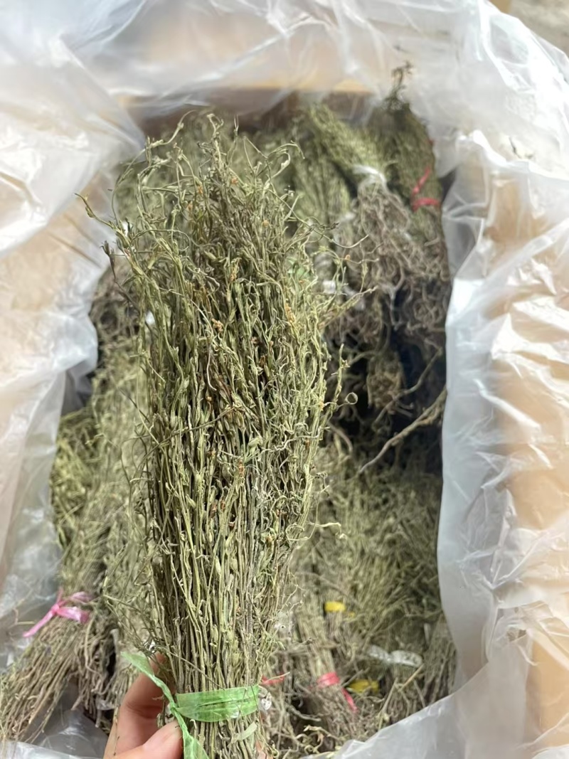 独脚金