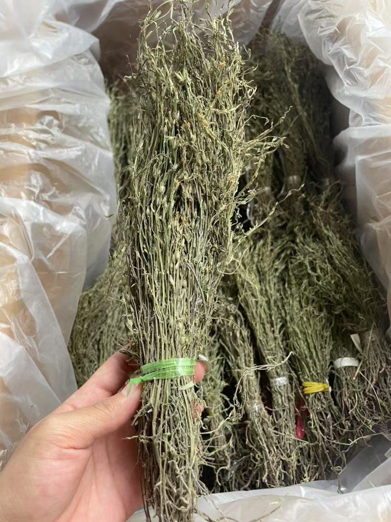 独脚金