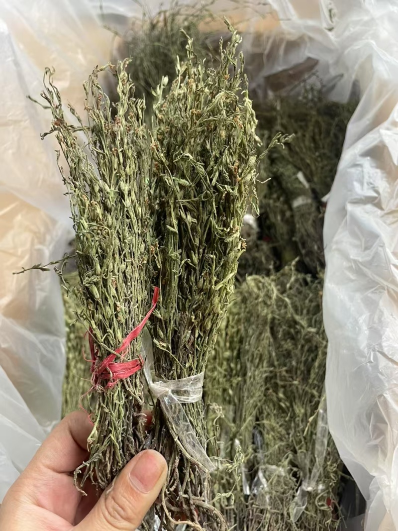 独脚金