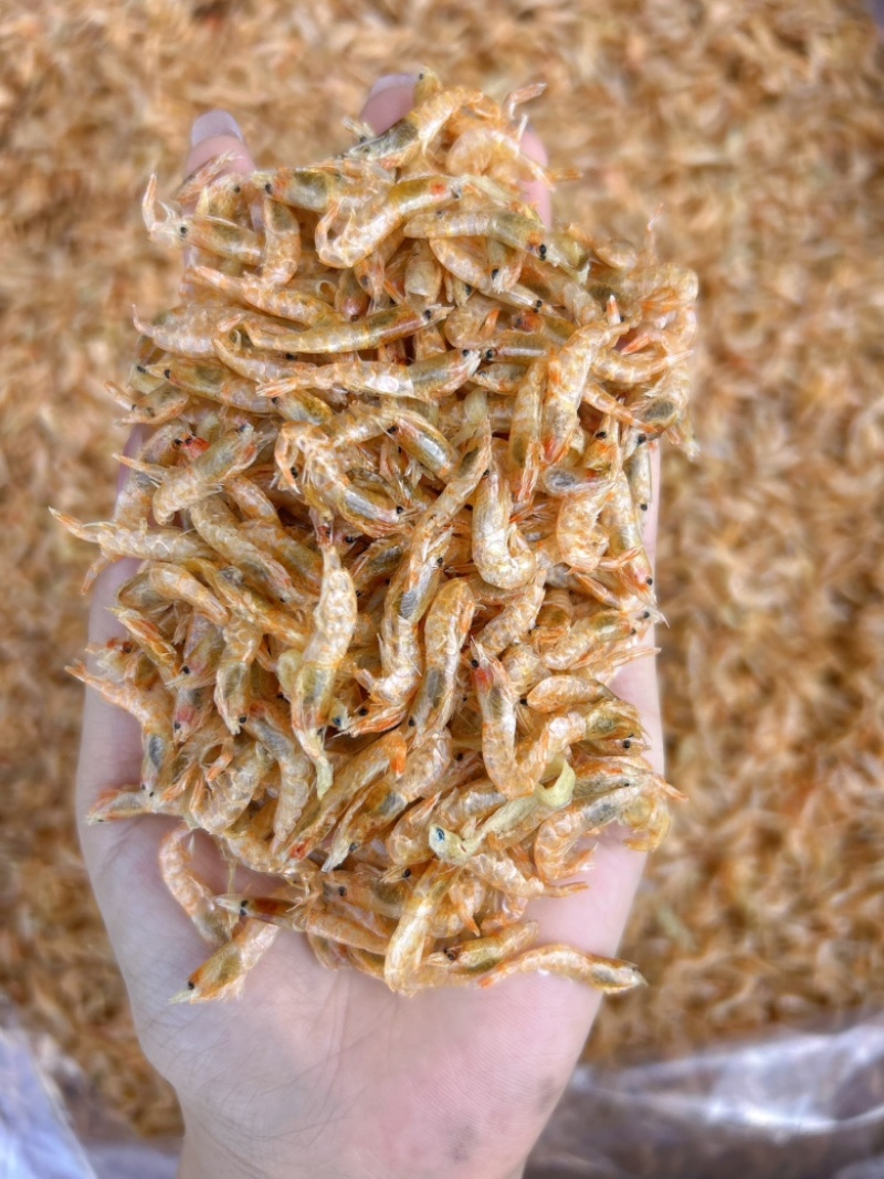 麦秆虾虾干草虾红虾高品质虾干淡干虾
