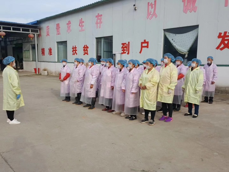 红花苗菜嫩苗速冻冻菜，常年供应发全国证件齐全