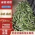 畅销广西肉丝瓜水瓜量大从优一条龙服务全国发货