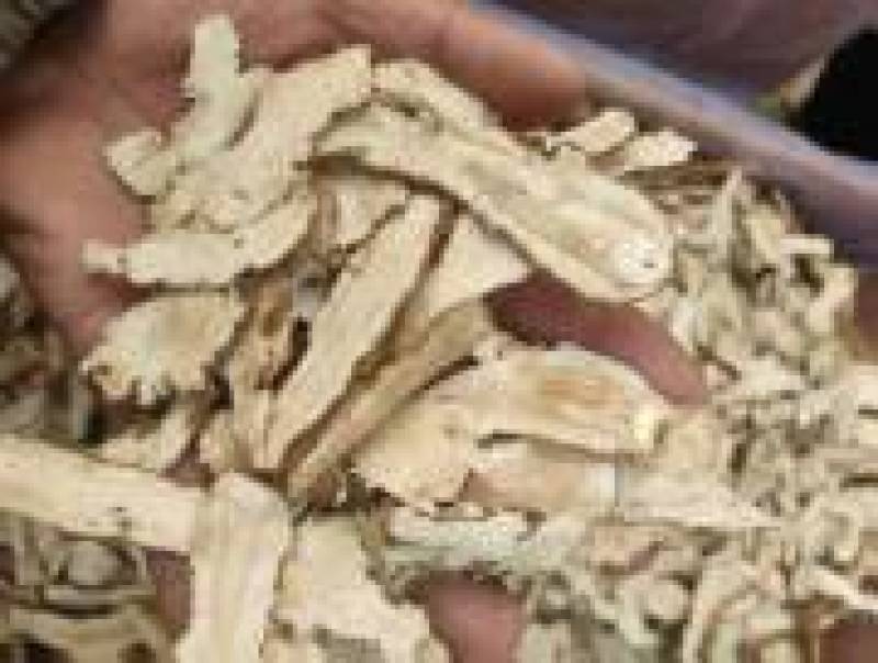 当归头片当归个子大量有货对接全国市场电商平台，量大优惠