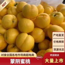 蒙阴县黄桃一件代发对接抖音快手淘宝京东拼多多欢迎进店采购