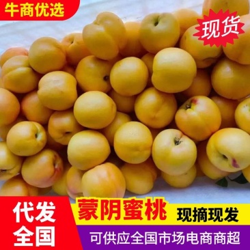 蒙阴县黄桃基地直发量大质优对接全国各大客商欢迎来电质询