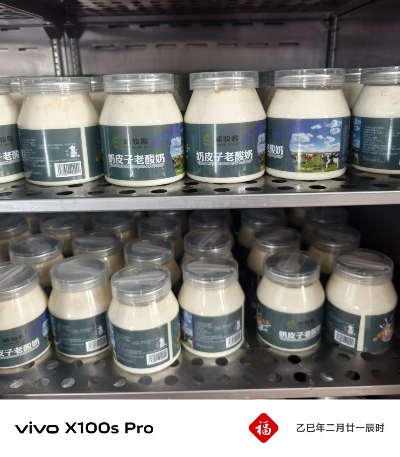 嘎嘎好吃的奶皮子酸奶