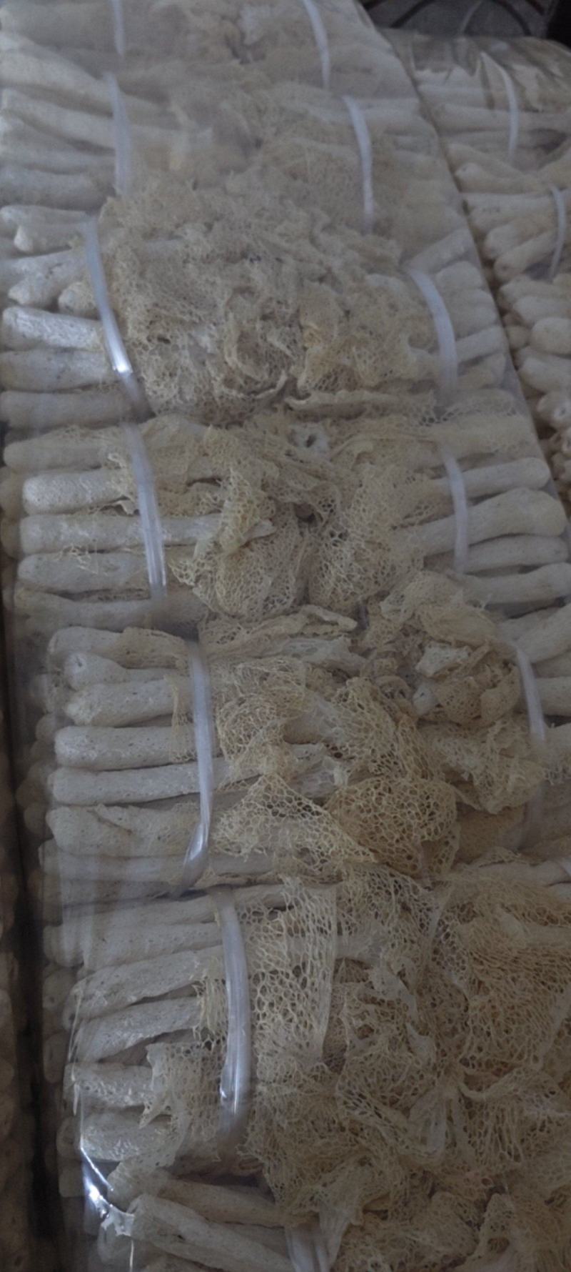 长郡竹荪竹荪蛋乡村现货新鲜干货