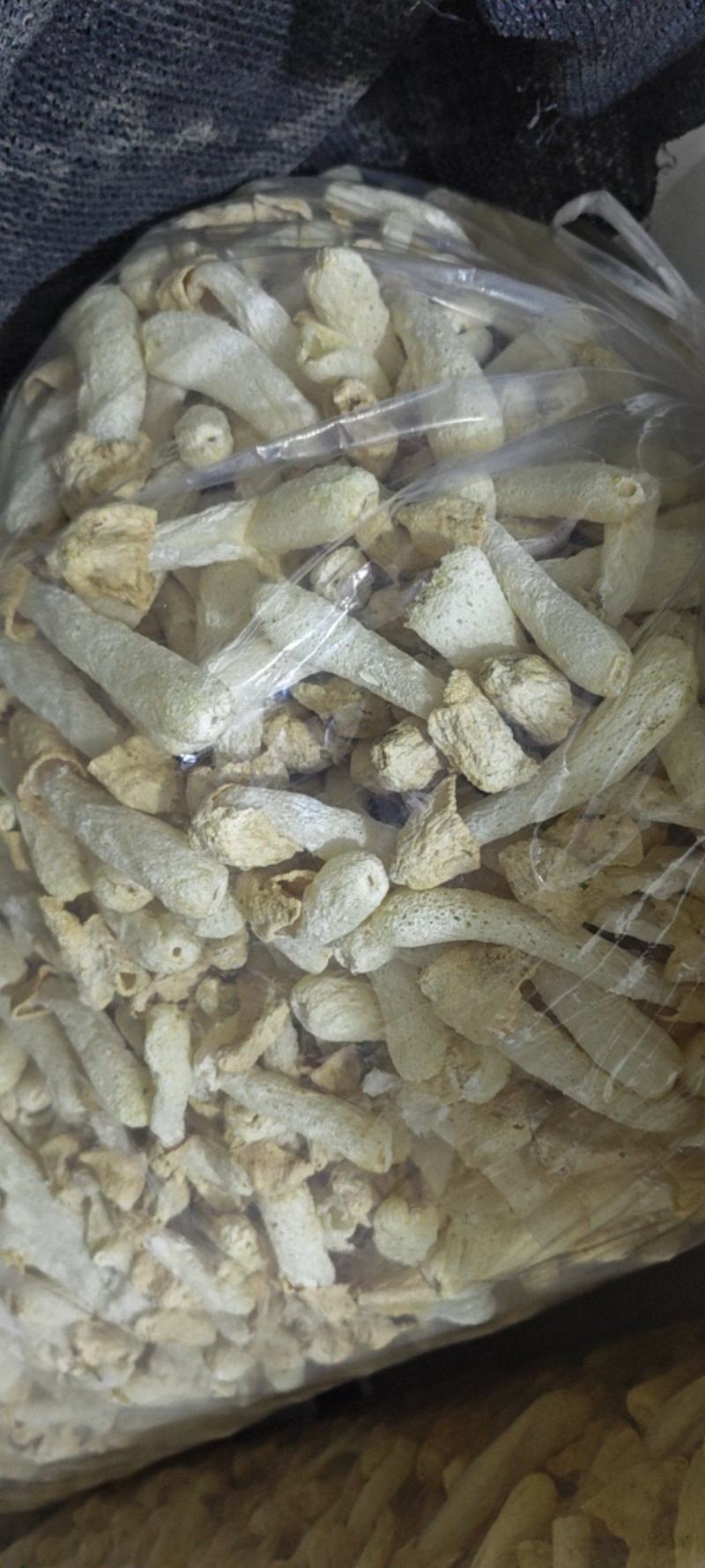 长郡竹荪竹荪蛋乡村现货新鲜干货