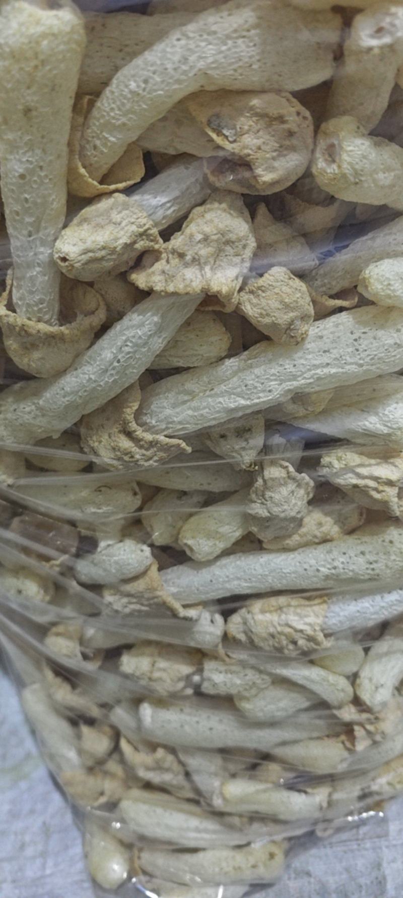 长郡竹荪竹荪蛋乡村现货新鲜干货