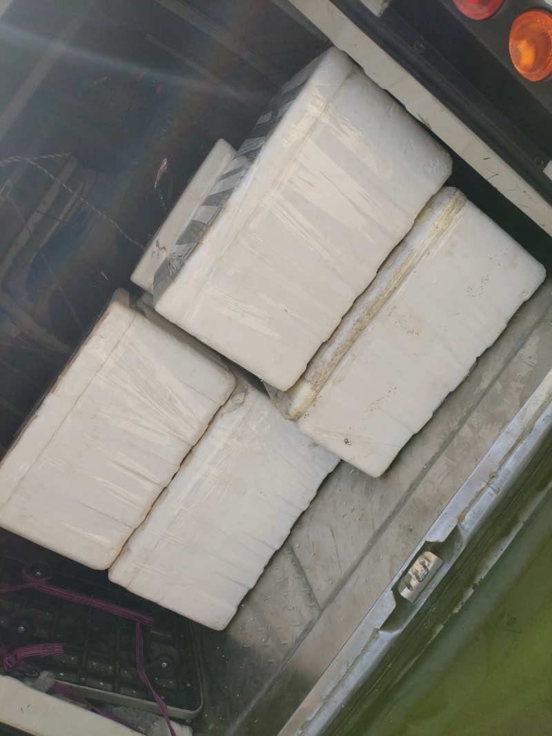 新鲜藕带每天现挖采现发货，需要的老板提前订购联系我。