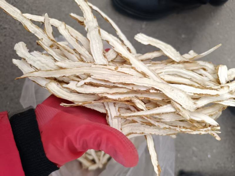 正宗产地独活精品好货一手货源常年供应质量可靠