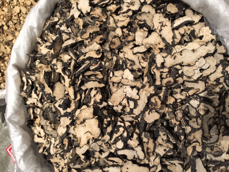 中药材猪苓别名豕苓粉猪苓野猪粪猪茯苓猪