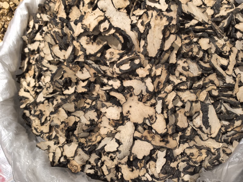 中药材猪苓别名豕苓粉猪苓野猪粪猪茯苓猪