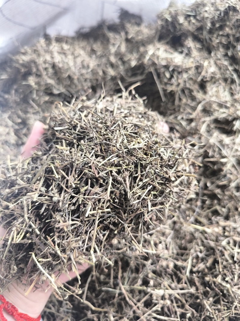 白花蛇舌草蛇草干净无杂质无霉地道中药材白花蛇舌草