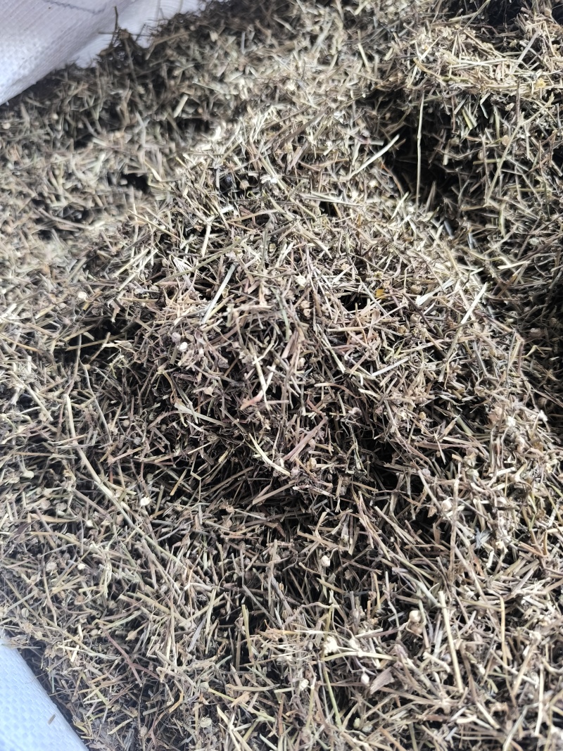白花蛇舌草蛇草干净无杂质无霉地道中药材白花蛇舌草