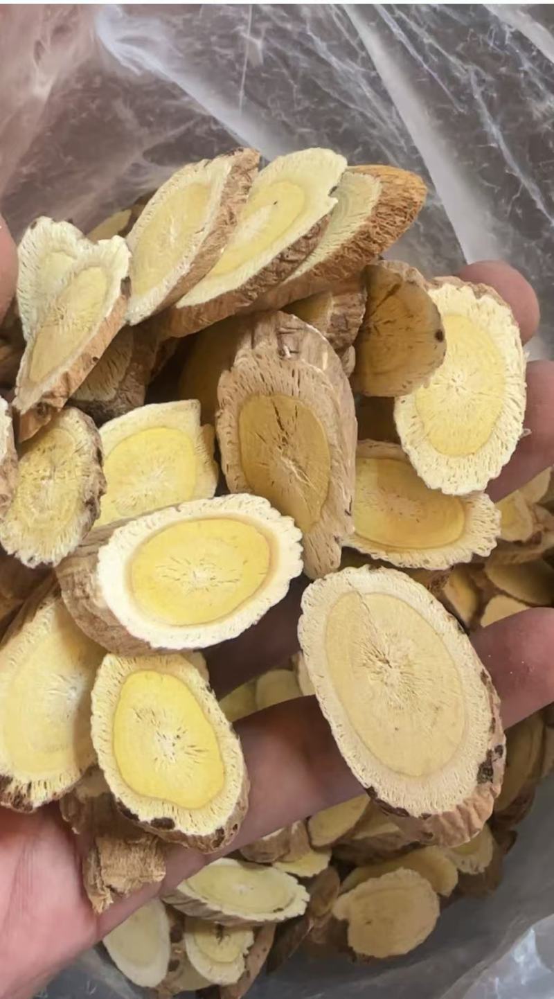 山西浑源恒山正北芪野生黄芪各种规格大量供应