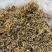 【新货】贵州山银花野生金银花开花货精品货源充足