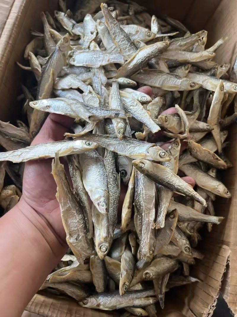 精品水煮白条鱼干地摊电商批发无盐白条鱼干河鱼鱼仔餐条鱼干