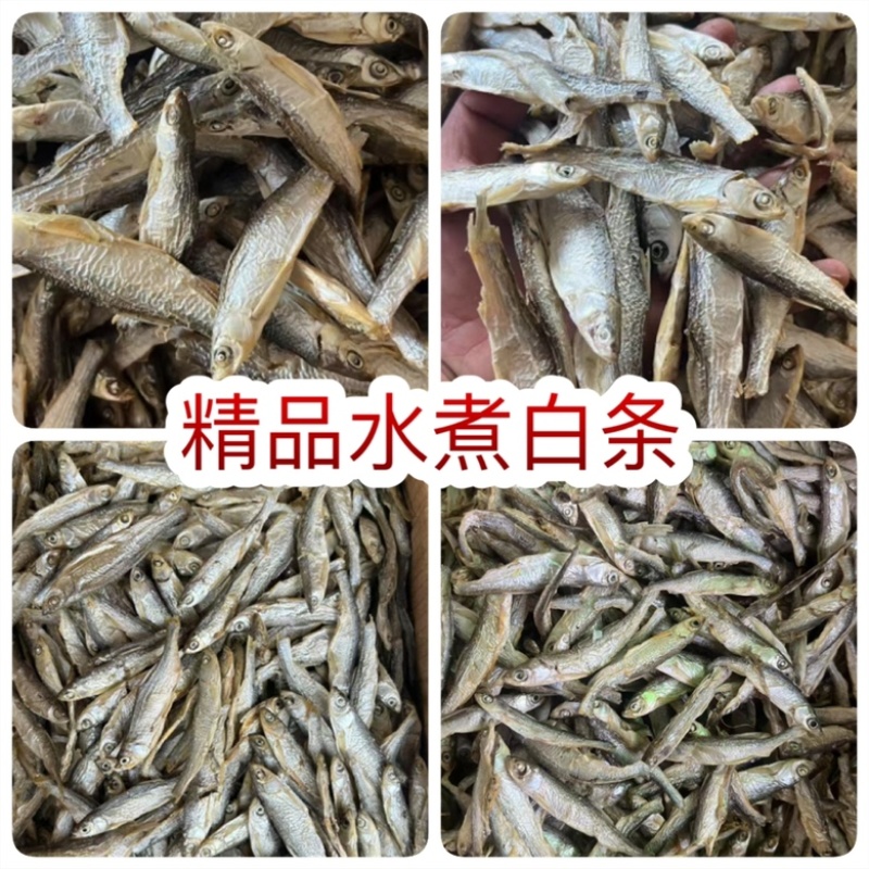 精品水煮白条鱼干地摊电商批发无盐白条鱼干河鱼鱼仔餐条鱼干